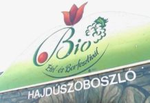 Für den großen Hunger: Biospeisen und Weinfest in Hajduszoboszlo