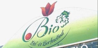 Für den großen Hunger: Biospeisen und Weinfest in Hajduszoboszlo