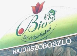 Für den großen Hunger: Biospeisen und Weinfest in Hajduszoboszlo