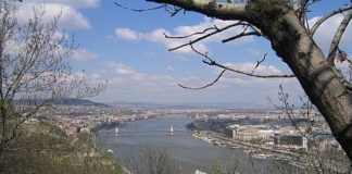 Interessante Umfrage: Das denken junge Ungarn über die Rente