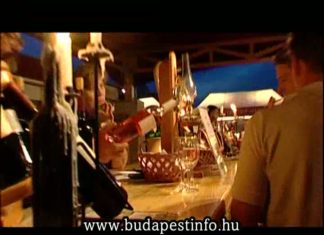 Ungarn-Promotionvideo