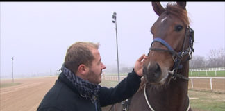 Event-Tip: Der Ungarische Nationalgalopp in Budapest