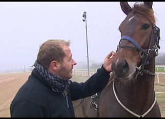 Event-Tip: Der Ungarische Nationalgalopp in Budapest