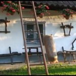 interview-istván-rápolthy-foto-2