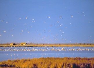 Neuer Safaripark im UNESCO Welterbe Nationalpark Hortobágy